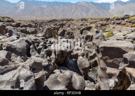 Le Fossile, un édifice volcanique unique près de Little Lake, California, United States. Banque D'Images