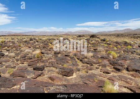 Le Fossile, un édifice volcanique unique près de Little Lake, California, United States. Cette image montre la zone menant à la tombe. Banque D'Images