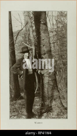 . Les arbres des forêts pour l'Amérique, par Henry H. Gibson ;. Les arbres ; le bois. . Veuillez noter que ces images sont extraites de la page numérisée des images qui peuvent avoir été retouchées numériquement pour plus de lisibilité - coloration et l'aspect de ces illustrations ne peut pas parfaitement ressembler à l'œuvre originale.. Gibson, Henry H. , 1855- ; Maxwell, Hu, 1860-1927. Chicago : feuillus notice Banque D'Images