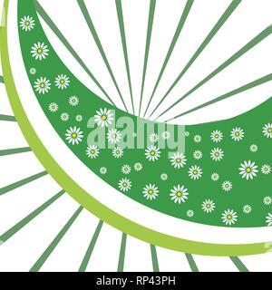 Green floral background avec camomille. Vector illustration Illustration de Vecteur