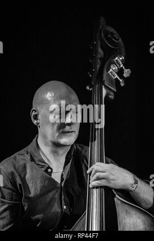 Le groupe de jazz suédois Tonbruket effectue un concert live au bar idéal, VEGA à Copenhague. Ici le bassiste Dan Berglund est vu sur scène. Le Danemark, 09/04 2016. À l'exception du Danemark. Banque D'Images