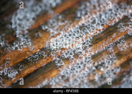Bulles de glace sur fond texturé Grain de bois Banque D'Images