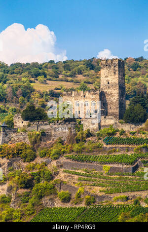 Château Gutenfels sur colline le long du Rhin en Allemagne Banque D'Images