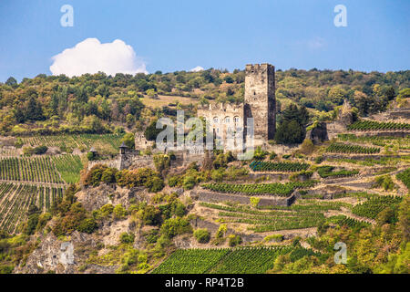 Château Gutenfels sur colline le long du Rhin en Allemagne Banque D'Images