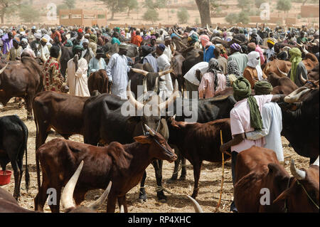 Le NIGER, Sahel, Zinder, marché au bétail avec vaches zébu Banque D'Images