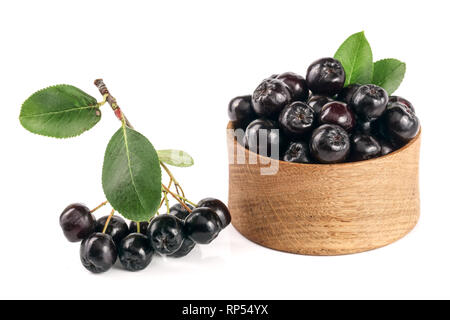 Aronie à feuilles avec bol en bois isolé sur fond blanc. Aronia noir des baies. Banque D'Images