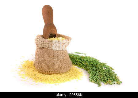 Dans un sac de mil et écope d'épillets vert isolé sur fond blanc. Banque D'Images