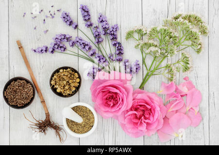 Lavande, camomille, rose, fleurs de sureau et herbes valériane. Utilisé en phytothérapie traditionnelle et alternative avec les racines et les fleurs. Banque D'Images