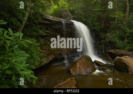 Pendleton tombe dans Blackwater Falls State Park, West Virginia Banque D'Images