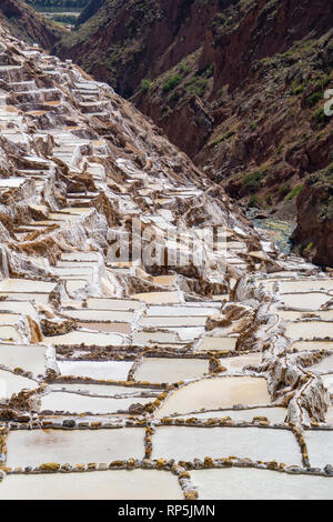 Mines de sel de Maras sur la colline, dans la région montagneuse du Pérou Cuzco. Banque D'Images