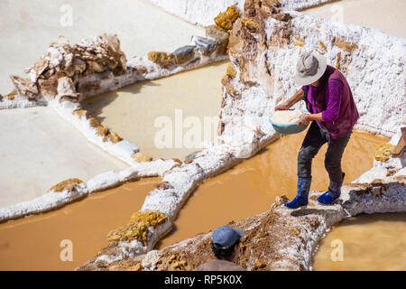 Les travailleurs des mines de sel de Maras sur la colline, dans la région montagneuse du Pérou Cuzco. Banque D'Images