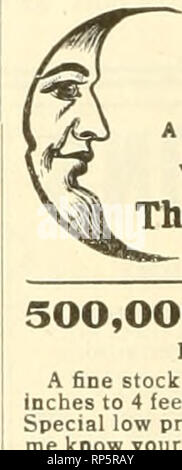 . La fleuriste américain : un journal hebdomadaire pour le commerce. La floriculture ; fleuristes. 278 l'American Fleuriste. Le 4 mars, Assoclailoo Noraiiymen américain lo W.P.Stark, en Louisiane. Le Président ; E. S. Welch. Sbeoandoah. la.. Vice-président : John Hall. Rochester. N. Y.. Secy. Trente sixième convention annuelle pour qu'il occupait à St Louis. Mo.. 14 juin 1911 16. VisiTKIi ('HIC.^j.io : Van Ailrian Leeu- wen. Jr., Worcester, Mas.". MONTICELLO, lA.-Benjamin Hoyt, un pépiniériste bien connu, est décédé à son liome 7 février. American Asi'n de Railroad jardiniers. Lors d'une réunion conjointe du comité exécutif et du comité Banque D'Images