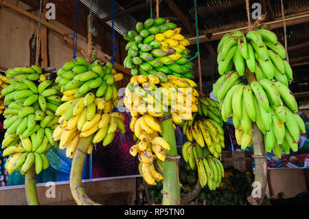 La banane jaune et vert dans un magasin de légumes. Commerce de rue au Sri Lanka. Banque D'Images