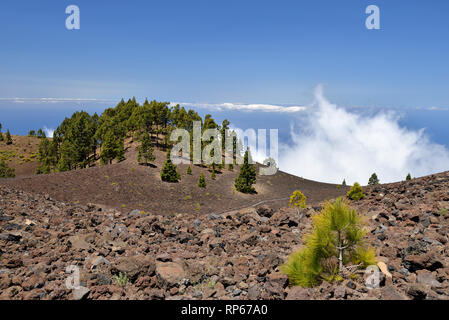 Vue depuis la Deseada, le volcan Cumbre Vieja, La Palma, Canary Islands, Spain Banque D'Images