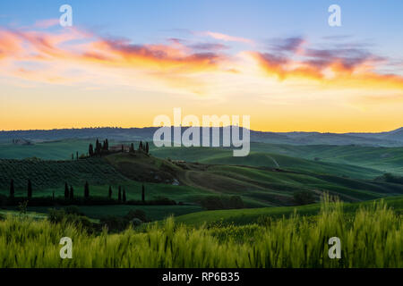 Paysage de Toscane dans le lever du soleil et de collines verdoyantes des champs . Italie Banque D'Images