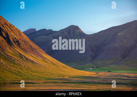 La ferme de montagne près de Pingeyri, Dyrafjordur. Westfjords, Islande. Banque D'Images