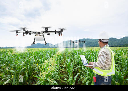 Utiliser le wifi agriculteur Technicien contrôle ordinateur drone l'agriculture sur le maïs doux domaine Banque D'Images