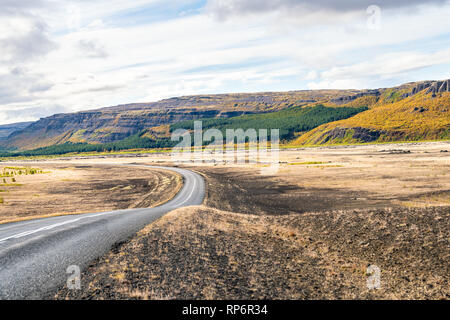 Forêt de pins verts dans la paisible paysage de l'Islande et ciel nuageux sur le cercle d'or avec vue sur la montagne et la route sinueuse route 32 Banque D'Images