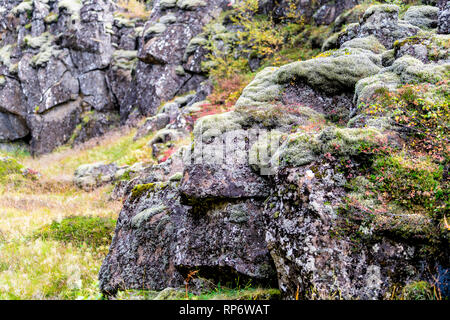 Le Parc National de Thingvellir en Islande cercle d'or avec paysage de rochers gros plan sur fossé continental canyon Banque D'Images