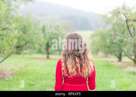 Verger avec de nombreux arbres de jardin en automne dans la campagne agricole de Virginie avec de l'herbe verte et à l'arrière de jeune femme en rouge l'article Banque D'Images