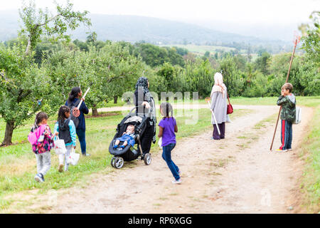 Markham, USA - 5 octobre, 2018 : Stribling Apple Orchard farm en Virginie du Nord avec beaucoup de gens famille la récolte de fruits sur route avec l'outil chemin Banque D'Images