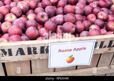 Markham, USA - 5 octobre, 2018 : Stribling Apple Orchard farm, dans le nord de la Virginie avec Rome rouge variété trier signe un coffret en bois pour le prélèvement du jardin Banque D'Images