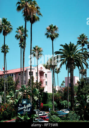 Palmiers certains châssis façade rose de la célèbre Beverly Hills Hôtel qui a été la maison loin de la maison pour des stars de cinéma et autres célébrités depuis son ouverture en 1912, qui était de deux ans avant sa ville éponyme de Beverly Hills a été incorporée dans le comté de Los Angeles, Californie, USA. Aujourd'hui, le luxueux hôtel est connu comme le Palais Rose et dispose de 210 chambres et 23 bungalows isolé entouré par 12 acres (4,86 hectares) de luxuriants jardins tropicaux et de fleurs exotiques. Les stars hollywoodiennes sont souvent vu dans son premier coin spot, le Polo Lounge. Banque D'Images