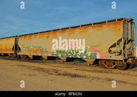 Wagons-trémies couverts de fer automobile stationné sur les voies ferrées à Bryan, Texas, USA ; le graffiti sur le côté d'un wagon. Banque D'Images