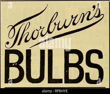 . La fleuriste américain : un journal hebdomadaire pour le commerce. La floriculture ; fleuristes. ^04 l'American Fleuriste. Le 7 septembre, le ^europeene 1mis&amp ;. AMERICAN SEED TRADE ASSOCIATION. i. E., NoRTHBDP Leonabd prés. ; S. P., Vioe- Prés. ; S. F., Willabd Wethersfleld, Conn., Seo y'^nd Treas. 20e congrès annuel, Twin Cities, Minnesota, Juin, 1902. Une marche rapide de la demande de semences de luzerne est signalée dans le Kansas, avec des offrandes de lumière. Rhotert Août, il est prévu, arrivera à New York sur le steamship Colombie-Britannique sur le 13 septembre. Il y est dit être une pénurie considérable dans le Wisconsin récolte pickle cette saison, c Banque D'Images