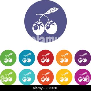 Berry Eco icons set vector color Illustration de Vecteur
