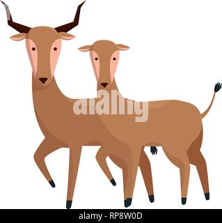 Les antilopes sauvages africains deux caractères vector illustration design Illustration de Vecteur