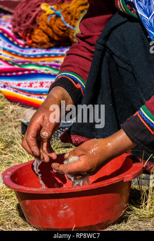 Femme en costume traditionnel se prépare et des teintures de fils d'alpaga à Vallée sacrée, région de Cuzco, Pérou. Banque D'Images