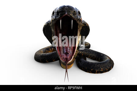 3d illustration King Cobra le serpent venimeux le plus long du monde isolé sur fond blanc, King Cobra Snake, 3D Rendering Banque D'Images