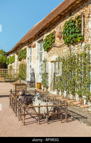 Orsan prieuré jardin, France : la réception d'immeubles en contre le mur, les pommiers en espalier et Crimson Glory Vine coupé en rectangle. Sur t Banque D'Images