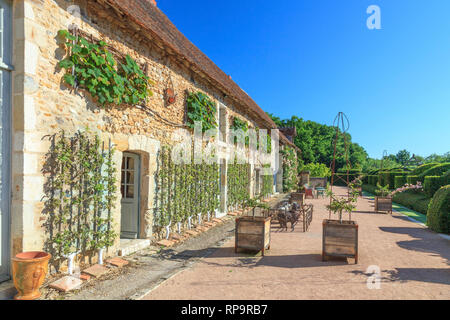 Orsan prieuré jardin, France : la réception d'immeubles en contre le mur, les pommiers en espalier et Crimson Glory Vine coupé en rectangle. Sur Banque D'Images