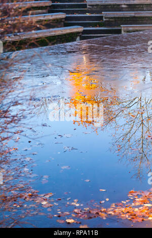 Arbres et ciel reflets dans les flaques dans autumn park Banque D'Images