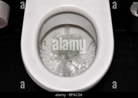 Munich, Allemagne. Feb 14, 2019. Rinçage de l'eau dans une cuvette de toilette, toilettes, toilettes, laver, rincer, shoer bas, toilettes., de l'utilisation du crédit dans le monde entier : dpa/Alamy Live News Banque D'Images