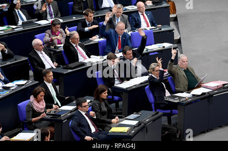 Berlin, Allemagne. Feb 21, 2019. La faction de l'AfD dans le Bundestag vote lors de la 83e session du Bundestag. Credit : Britta Pedersen/dpa-Zentralbild/dpa/Alamy Live News Banque D'Images