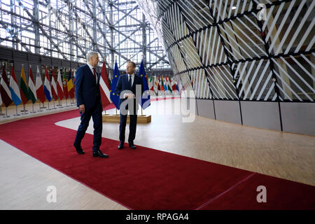 Bruxelles, Belgique. 21 février 2019. Premier Ministre de la Lettonie Krisjanis KARINS est accueilli par le président du Conseil européen, Donald Tusk en amont d'une rencontre au Conseil européen . Alexandros Michailidis/Alamy Live News Banque D'Images