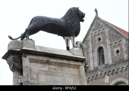 Braunschweig, Allemagne. Feb 19, 2019. Le Lion de Brunswick est un monument situé et le plus célèbre monument de la ville. Il se dresse sur la place du château en face du château Dankwarderode (arrière-plan) et la cathédrale de Brunswick. Credit : Holger Hollemann/dpa/Alamy Live News Banque D'Images