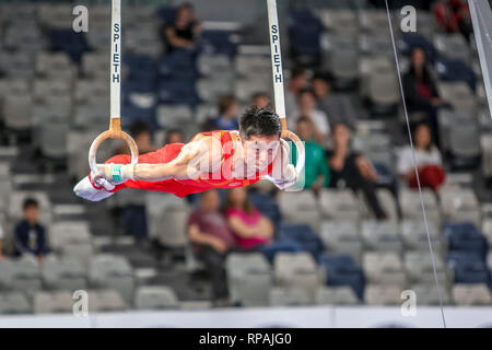 Melbourne, Victoria, Australie. 21 févr. 2019. Coupe du Monde de Gymnastique - Jour 1 qualifications - 21 février 2019 - Aréna de Melbourne, Melbourne, Victoria, Australie.Joints toriques concurrent Hao vous représentant CHN au cours de sa routine. Credit : brett keating/Alamy Live News Banque D'Images