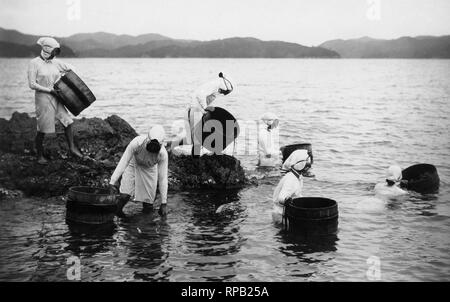 Le Japon, groupe d'ama, pêcheur d'huîtres perlières, 1920-30 Banque D'Images