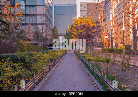 Street view à l'automne près de Shin-Ochanomizu station à Chiyoda, Tokyo, Japon Banque D'Images