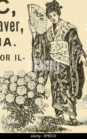 . La fleuriste américain : un journal hebdomadaire pour le commerce. La floriculture ; fleuristes. i38 l'American Fleuriste. 1I, les frais généraux du chauffage. Voir un article sur le passage de chauffage dans le dernier numéro de la fleuriste je vais donner mon expérience dans cette direction. Notre place est chauffée par vapeur avec des pipes ci-dessous, à l'exception de deux maisons, chacune 20 x 60 pieds, qui ont tous les tuyaux au-dessus. En canalisant la chambre nous avons utilisé !'&gt ; tuyaux de 81 cm le long de la crête de chaque chambre pour le plus fin, puis ramifiée et re- tourné sous verre des deux côtés, des tuyaux à propos de dix pouces au-dessous de verre sur les côtés ; j'ai utilisé du tuyau de 81 cm pour retur Banque D'Images