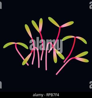 Betterave Microgreens. Groupe de plantes. Supplément de vitamines, de nourriture vegan. Fond noir Illustration de Vecteur