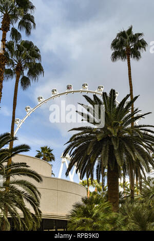 LAS VEGAS, NEVADA - Février 2019 : grand angle de visualisation de capsules sur la roue géante High Roller ride à Las Vegas derrière des palmiers dans le jardin de la Banque D'Images