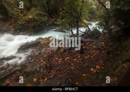 La réserve naturelle de la rivière Hermon, Israël Banque D'Images