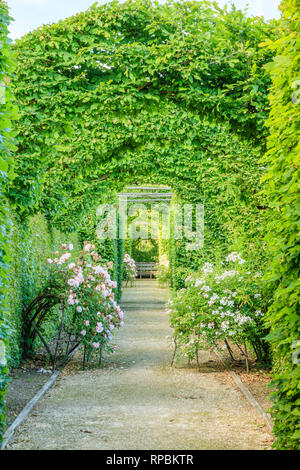 Orsan prieuré jardin, France : autour de la voie d'un parterre de roses et bowers (mention obligatoire du nom du jardin et pas de publicité utiliser sans pri Banque D'Images