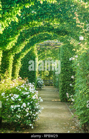 Orsan prieuré jardin, France : autour de la voie d'un parterre de roses et bowers (mention obligatoire du nom du jardin et pas de publicité utiliser sans pri Banque D'Images