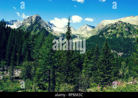 Beau paysage alpin avec de vertes prairies, des pics alpins et de montagne Banque D'Images
